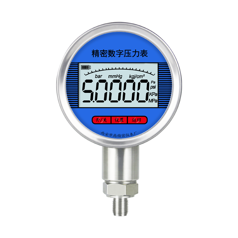 精密數字壓力表